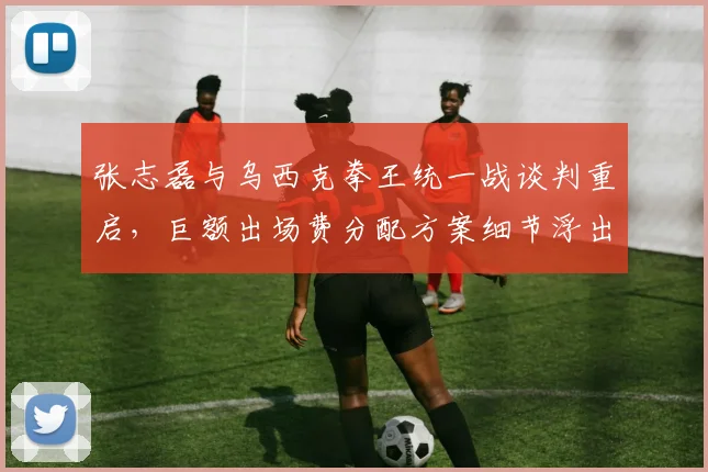 张志磊与乌西克拳王统一战谈判重启，巨额出场费分配方案细节浮出水面